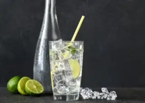 glass of water with sparkling water with lemon, lemon slices next to a glass bottle